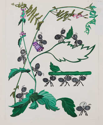 Неизвестный художник. Макет книги В.В. Бианки 